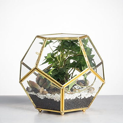 NCYP Glass Geometric Terrarium Planter with Door and Foot, Pentagon Ball Shape Glass Terrarium for Fern, Succulents, Small Plants, Gold, 6.8 x 6.8 x 5.9 inches (No Plants)