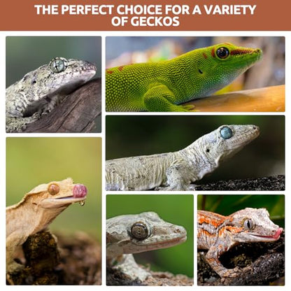 Gecko Food, Fruit Mix Apricot and Insects Gecko Diet