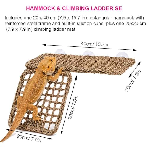 Bearded Dragon Hammock with Built-in Steel Frame, Easy One-Side Mount Reptile Hammock, Flat-Stable Seagrass Lizard Bed & Climbing Ladder for Bearded Dragon Tank (Rectangular Hammock)