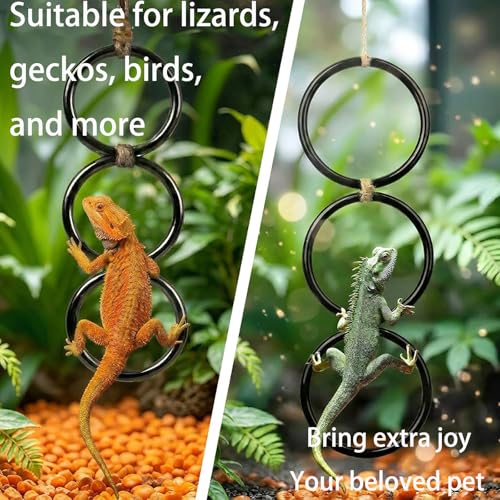 Horsmiyla 3-Ring DIY Snake Climbing Rings for Ball Python Tank Decor | Customizable Vertical Reptile Enrichment Toys, Reptile Cage Accessories Fit Chameleon & All Reptile Habitats