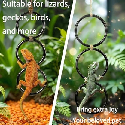 Horsmiyla 3-Ring DIY Snake Climbing Rings for Ball Python Tank Decor | Customizable Vertical Reptile Enrichment Toys, Reptile Cage Accessories Fit Chameleon & All Reptile Habitats