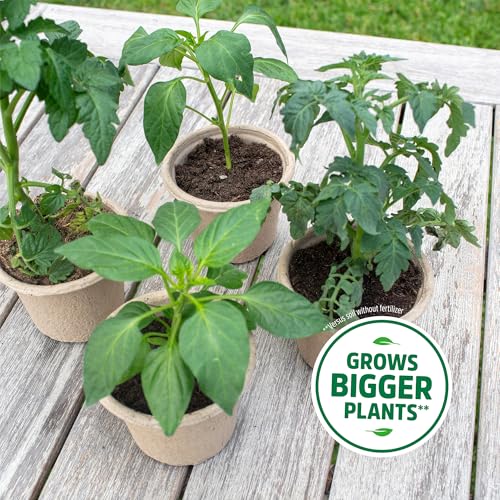 Back to the Roots 3-in-1 Seed Starting Mix 6 Quarts, 100% Organic & USA Made for Herbs, Veggies, Flowers, w/Nutrient Rich Plant Food, Worm-Castings, & Moisture Controlling Yucca Brown - size: 6 Quart, style: Seed Starting Mix