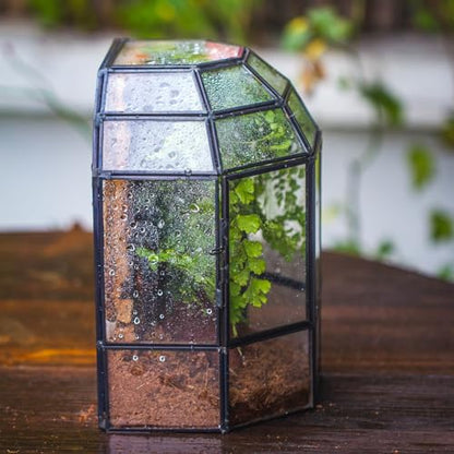 NCYP Half Dome Geometric Glass Terrarium with Door, Closed Moss Planter Pot, Miniature Landscape Container, Indoor Tabletop Decor, Black (Terrarim Only)