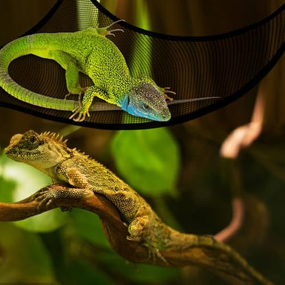 2 Pcs Bearded Dragon Lizard Hammock, Triangular, Breathable Mesh, Black, 13" x 13" x 19" - color: Black