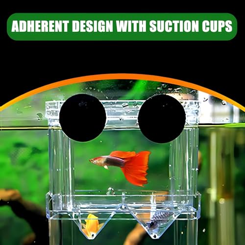 in-Tank Aquarium Breeder Box for Fish Tank, Breeding Incubator for Small Fish Hatchery, Acrylic Divider for Shrimp Clownfish Aggressive and Injured Fish, Can Connect Air Pump (Small)