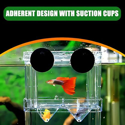 in-Tank Aquarium Breeder Box for Fish Tank, Breeding Incubator for Small Fish Hatchery, Acrylic Divider for Shrimp Clownfish Aggressive and Injured Fish, Can Connect Air Pump (Small)