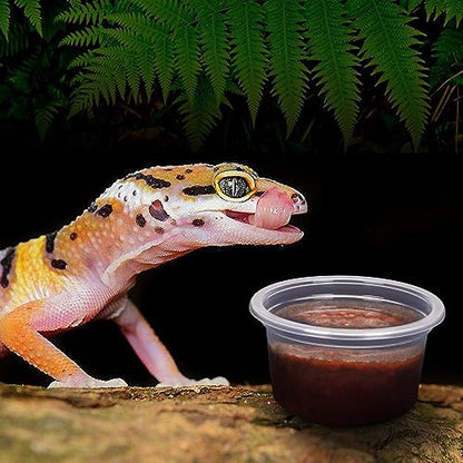 AIICIOO Gecko Feeder Ledge Cup 1oz Plastic Bowls 50 Pack Reptile Food Feeder Water Dish Ledge Accessories Bowls for Crested Gecko Lizards Chameleon Spiders Snake Frogs - size: Feeding Cup 50Pcs