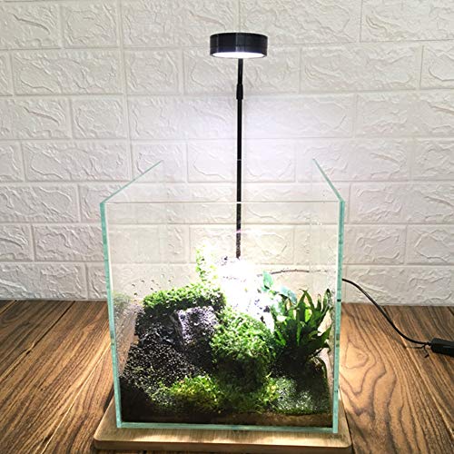 LED Aquarium Light for Under 5 Gallon Fish Tank 10W Full Spectrum | 360 Degree Small Aquarium Light LED Light with Bamboo Board Nano Fish Tank & Terrarium Light for Plant Growth USB Powered - size: 10w l / 10.62x11.22inch