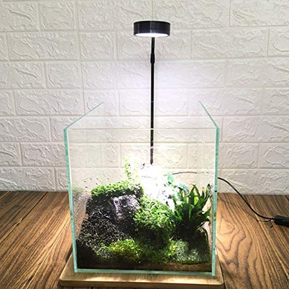 LED Aquarium Light for Under 5 Gallon Fish Tank 10W Full Spectrum | 360 Degree Small Aquarium Light LED Light with Bamboo Board Nano Fish Tank & Terrarium Light for Plant Growth USB Powered - size: 10w l / 10.62x11.22inch