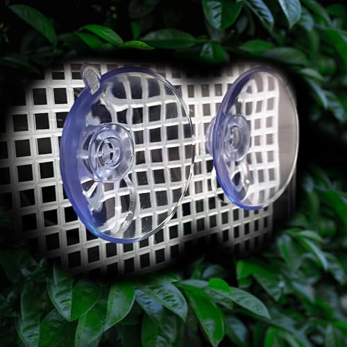 Bearded Dragon Feeder, Transparent Acrylic Reptile Feeding Box, Chameleon Bug Bowl, Wall-Mounted Insect Bowl with Suction Cups, Tank and Aquarium Accessories for Lizard Gecko Frog