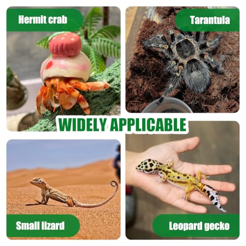 36PCS Gecko Feeding Cups with 3 Scoops, Reptile Food Feeding Cups | Colorful Food and Water Feeding Dishes Silicone Crested Gecko Cup for Lizards, Tortoise and Small Pets - color: 36PCS