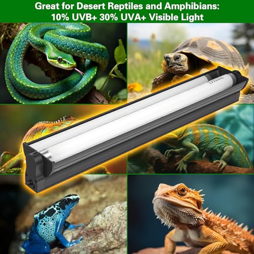 T8 UVB Reptile Light Fixture HO UVB Bulb Lighting Combo Kit with 18 Inch 15 Watt UVB 10.0 Fluorescent Bulb,Reptile Strip Light UVA UVB Desert Lamp Pet Habitat Light for Reptiles Amphibian-T8 15W G13 - style: T8/15W Reptile UVB Light Kit(18In Bulb*1)
