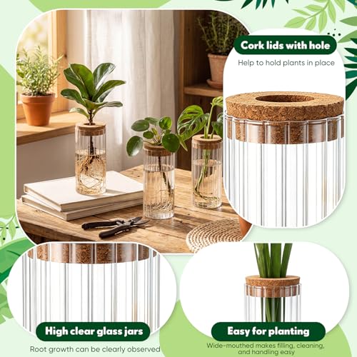 6 Set Propagation Station Jar Desktop Glass Planter Station Flower Vases Water Terrarium Jar with Cork Lid for Propagating Flower Plants Centerpiece Office Home Garden Decor(Medium) - size: Medium