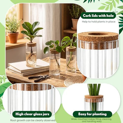 6 Set Propagation Station Jar Desktop Glass Planter Station Flower Vases Water Terrarium Jar with Cork Lid for Propagating Flower Plants Centerpiece Office Home Garden Decor(Medium) - size: Medium