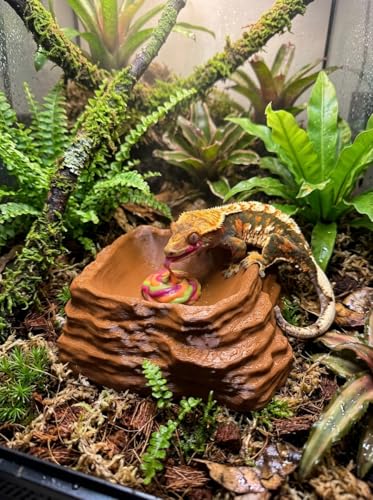 ReptiRock 3D Printed Reptile Worm Dish - Escape-Proof Worms and Mealworm Feeder Bowl - Eco-Friendly PLA Rock Texture Food Water Dish for Bearded Dragon, Gecko, Lizard, Brown