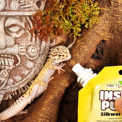 Gecko Food Insect Puree, Silkworm Paste Reptile Food Made with Fresh Insects