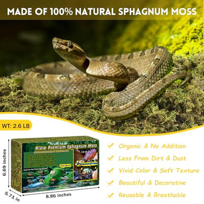 Riare 2.6lb Natural Sphagnum Moss for Reptiles, Terrarium Substrate Bedding | 100QT High Expansion, Moisture Retention, Helps Shedding, Long Fibered Dried Moss for Leopard Gecko, Snake, Frog, Turtle - color: 2.6 LB