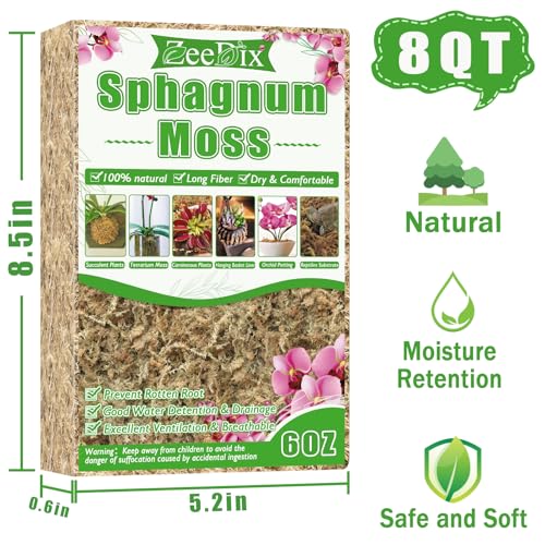 6 oz Sphagnum Moss for Plants Indoor, Long Fiber Natural Orchid Moss for Repotting Carnivorous Plants, Succulents, Monstera, Flower & Reptile Terrariums Habitats (Expands to 8 qt) - size: 6 ounces
