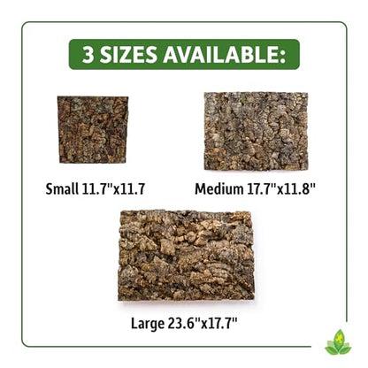 Josh's Frogs Natural Virgin Cork Sheet Terrarium Background (12x12) - size: Small 12"x12"