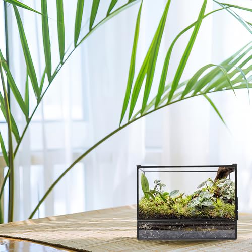 Happyyami Glass Terrarium Micro Landscape Container for Indoor Desktop Ecosystem Moss Planter Small Geometric Glass Holder 145x80x195mm Suitable for Succulent and Moss Gardening