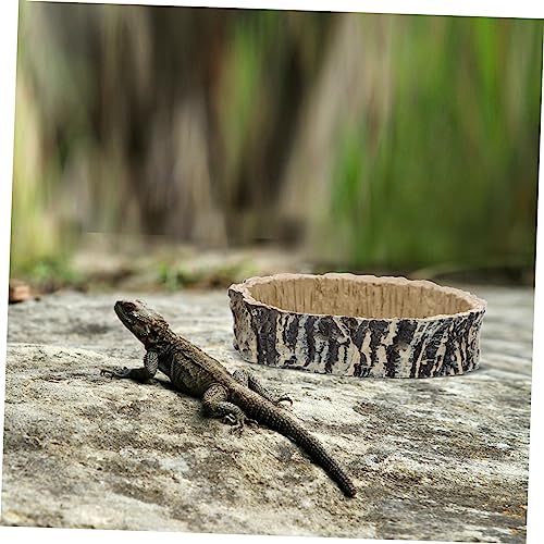Crawling Pet Food Storage Basin Reptile Water Feeder Tortoise Food Container Habitat Accessory
