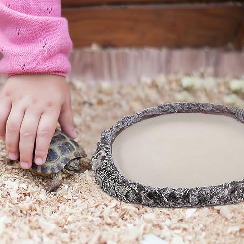 Abaodam Reptile Water Dish for Snakes and Lizards Multi-use Food Storage Basin Reptile Water Holder for Feeding and Hydration for Terrariums and Pet Enclosures