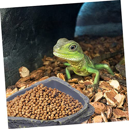 Reptile Feeding Bowl Resin Reptile Supplies Lizard Food Storage Container Tortoise Water Feeder