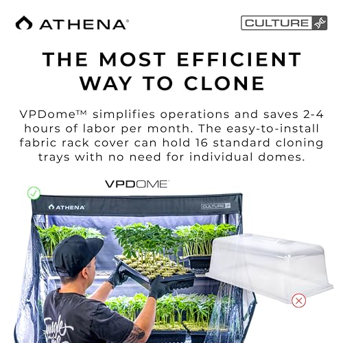 Athena Culture VPDome Indoor Greenhouse for Plant Propagation | TC-VPD