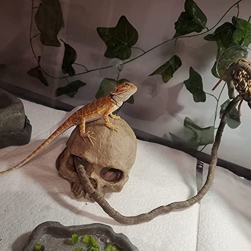 kathson Bearded Dragon Terrarium Skull Decoration, Reptile Tank Habitat Resin Human Skulls Hide Cave Hanging Vines Plants Accessories for Lizards Tortoise Chameleon Spider Reptiles Amphibians(4 PCS)