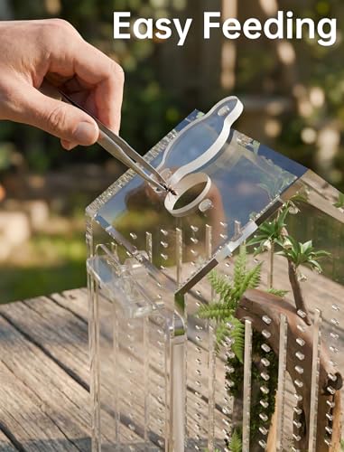 NiHome Clear Acrylic Jumping Spider Enclosure, Magnetic Tarantula Terrarium | Acrylic Praying Mantis Enclosure, Magnetic Opening Door & Feeding Port, Escape-Proof Reptile Habitat, 1.5mm Ventilation Holes