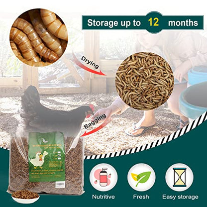 44LB Non-GMO Dried Mealworms, 100% Natural Large Size No Moisture, Mealworms for Chickens, Birds, Hedgehog, Hamster, Fish, Reptile, Turtles - size: 44 Pound (Pack of 1)