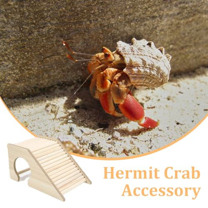Hermit Crab Hideout with Ramp, Wooden Climbing Toys, Aquarium Ladder Bridge Ramp Toy, Small Animals Tank or Cage Accessories, Hermit Crab Habitat