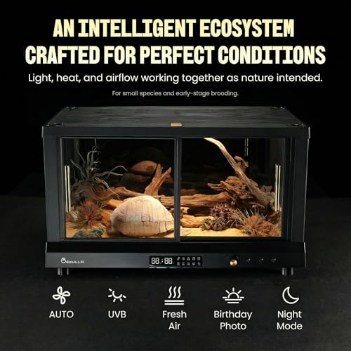 All-in-ONE Smart Reptile Tank, Reptile Enclosure，Terrarium Tank，Screen Ventilation Habitat，Amphibians，Suitable for Keeping Lizards, Geckos and Snakes (Black, CP1) - color: BLACK, size: CP1