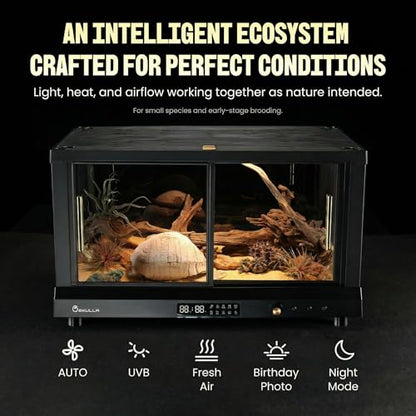All-in-ONE Smart Reptile Tank, Reptile Enclosure，Terrarium Tank，Screen Ventilation Habitat，Amphibians，Suitable for Keeping Lizards, Geckos and Snakes (Black, Plus) - color: BLACK, size: PLUS