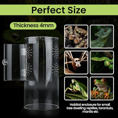 Cryfokt Tall Arboreal Tarantula Enclosure, Acrylic Jumping Spider Enclosure with Front Opening Door for Reptiles Lizards Snails, 6 x 6 x 12in Terrarium with Latch 360 Visibility