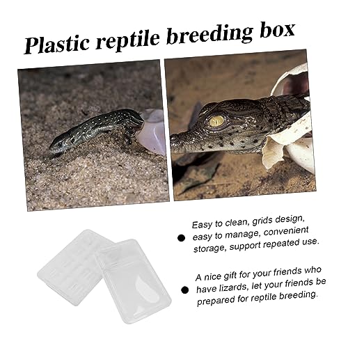 GALPADA 20grids Hatching Incubation Box for Reptiles Plastic Widely Used for Snakes Lizards Geckos and More Improve Incubation Rate