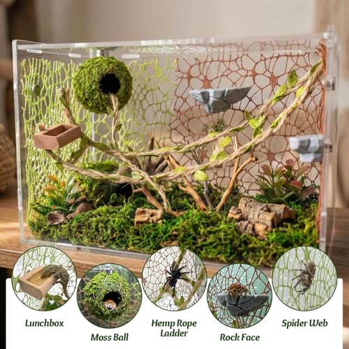 Jumping Spider Enclosure Accessories Kit - Magnetic Moss Ball Hideout, 2 Rock Ledges, Feeding Bowl, Climbing Mesh Nets & Rope Ladder - Natural Forest Habitat Decor for Regal (Moss Cave with Rope) - size: Moss Cave with Rope