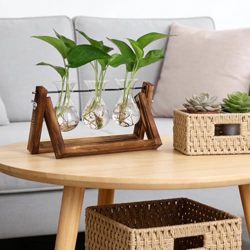 YIBOT Propagation Stations,Plant Terrarium with Wooden Stand-3 Glass Vases | Unique Gardening Birthday Gifts for Women Mom Plant Lovers, Indoor Hydroponics Plants Home Office Garden Desk Decor - size: 3Vase-B