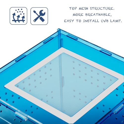 8x8x12 Blue Acrylic Terrarium Vertical for Spider Reptile | Vertical blue acrylic terrarium 8x8x12, waterproof sealed body, secure anti-escape, suits Reptile spider small lizard - color: Blue