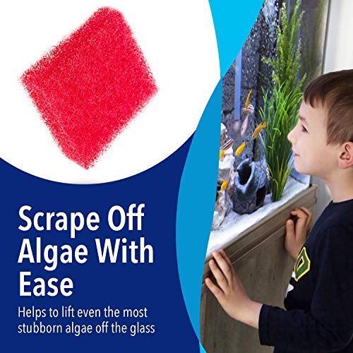 Evergreen Pet Supplies Aquarium Glass Cleaner Sponge - Non-Scratch Aquarium Glass Scrubber - Durable Tank Sponge Cleaner - Ergonomic Fish Tank Pad - Pack of 4, Red, 3.25 in x 3.25 in x 1 in