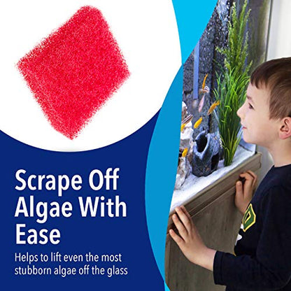 Evergreen Pet Supplies Aquarium Glass Cleaner Sponge - Non-Scratch Aquarium Glass Scrubber - Durable Tank Sponge Cleaner - Ergonomic Fish Tank Pad - Pack of 4, Red, 3.25 in x 3.25 in x 1 in