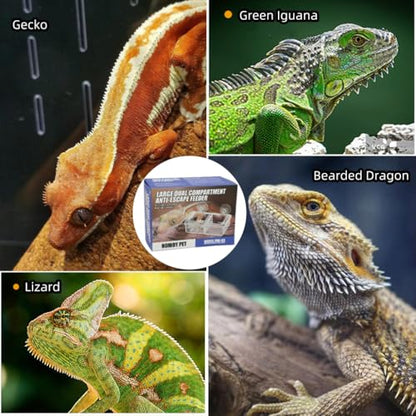 Escape Proof Small Reptile Feeding Dishes with Suction Cup | Mealworms Bug Feeder, Anti-Escape Food Bowl, Transparent Clear Plastic, Leopard Gecko Bearded Dragon Terrarium Accessories