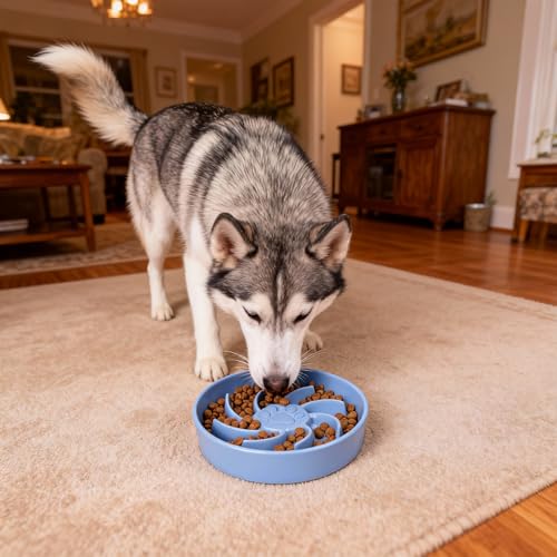 Ceramic Slow Feeder Dog Bowl, 3 Cup Dog Food or 25oz Water, Slow Eating Bowl for Middle Breed, Maze Puzzle Feeder for Fast Eaters, Anti-Choking Stop Bloat, Non-Slip BPA Free (Blue) - color: Blue