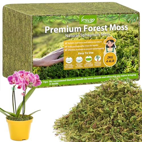 4.4LB Sphagnum Moss for Plants, 80QT Natural Long Fiber Orchid Moss | Drainage & Moisture Retention, Green Plant Moss for Orchid Repotting, Carnivorous, Succulents, Reptile Bedding & Terrariums - size: 4.4LB