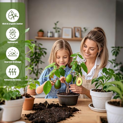 Organic Avocado Tree Potting Soil Mix 4qt, Enhance Growth and Transplant Success for Avocado Plants - size: 4qt