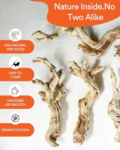 3Pcs Bearded Dragon Wood Branch, Large 14-17 Inch Reptile Wood Logs for ClimbingTerrarium Habitat Decor for Geckos, Chameleons, Frogs & Spiders (Upgrade the Thermometer) - size: Upgrade the thermometer