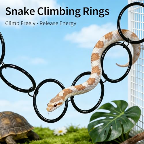GZZHPFYSnake Climb Chain Toy Ball Python Ring Corn Snake Enrichment Toy | Suitable for Ball Pythons and Corn Snakes, Black | Snake Reptile Enrichment Toy, Suitable for Various Small Reptiles