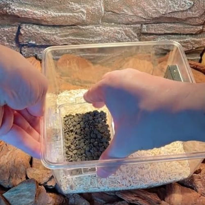 VOSAREA Reptile Feeding Container Escape-Proof Feeder Large Multi-Function Water Dish for Lizards and Small Pets Terrarium Supplies