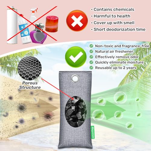 Activated Charcoal Odor Absorber Deodorizer Odor Eliminator for Strong Odor | Home, Basement, Closets, Shoes, Smoke, Car Air Freshener. 2 Pack Nature Bamboo Charcoal Air Purifying Bags - style: 2 Pack Shoe Deodorizer