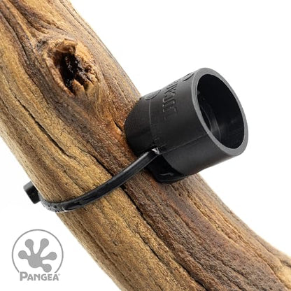 Pangea Microdish Kit for Crested Gecko Food 2.75in x 2.6in (L Branch Mount) | Small Dish for Anoles and other Reptiles, Zip Tie Attachment Water Bowl - size: L Branch Mount